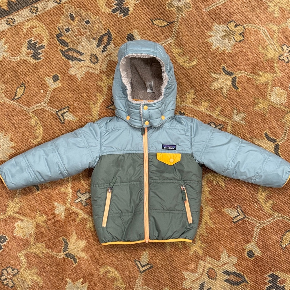 Patagonia Baby Reversible Tribbles Hoody – Size 4T (Green/Blue)